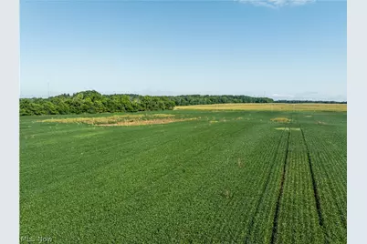 Sycamore Road, Centerburg, OH 43011 - Photo 9