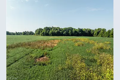 Sycamore Road, Centerburg, OH 43011 - Photo 11