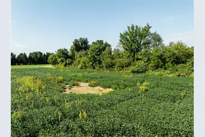 Sycamore Road, Centerburg, OH 43011 - Photo 43