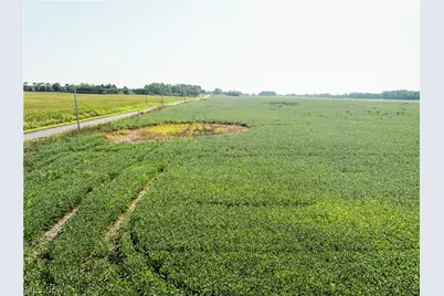 Sycamore Road, Centerburg, OH 43011 - Photo 13