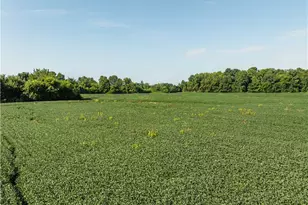 Sycamore Rd, Centerburg, OH 43011 - Photo 1