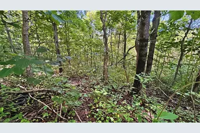 742 Peters Cave Road, Patriot, OH 45658 - Photo 47