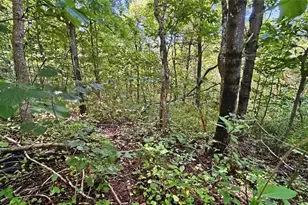 742 Peters Cave Rd, Patriot, OH 45658 - Photo 47