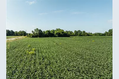 Perry Road, Centerburg, OH 43011 - Photo 1