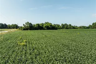 Perry Rd, Centerburg, OH 43011 - Photo 1