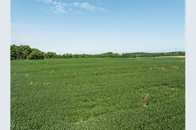 Perry Road, Centerburg, OH 43011 - Photo 1