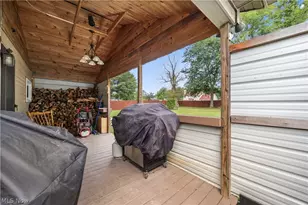 225 Forest St, LaGrange, OH 44050 - Photo 29