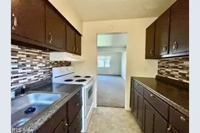 762 Mentor Avenue #54, Painesville, OH 44077 - Photo 3