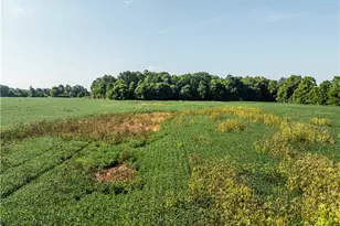 Sycamore Rd, Centerburg, OH 43011 - Photo 1