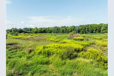 Webster Road, Centerburg, OH 43011 - Photo 1