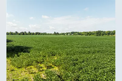 Webster Road, Centerburg, OH 43011 - Photo 1