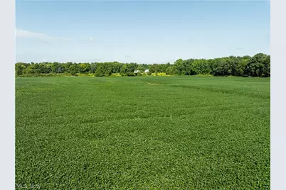 Webster Road, Centerburg, OH 43011 - Photo 11