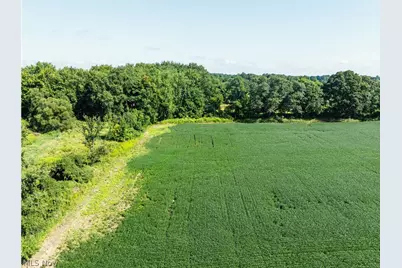 Webster Road, Centerburg, OH 43011 - Photo 3