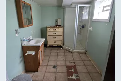 439 Delmar Avenue, Akron, OH 44310 - Photo 9