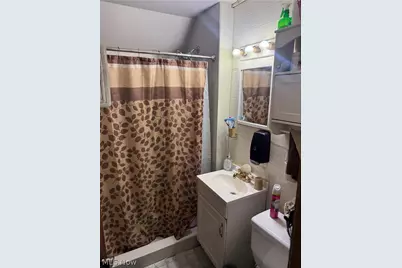 920 E 73rd Street, Loveland, OH 44103 - Photo 15