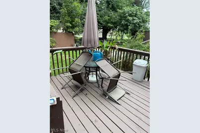 920 E 73rd Street, Loveland, OH 44103 - Photo 31
