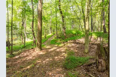 5556 Blacksnake Hill Road NE, Dover, OH 44622 - Photo 45