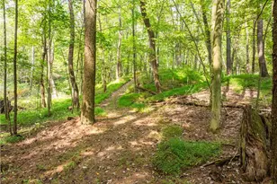 5556 Blacksnake Hill Rd NE, Dover, OH 44622 - Photo 45