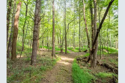 5556 Blacksnake Hill Road NE, Dover, OH 44622 - Photo 47