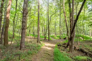 5556 Blacksnake Hill Rd NE, Dover, OH 44622 - Photo 47