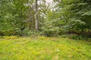 218 Wintergreen Hill Dr, Painesville Twp, OH 44077 - Photo 47