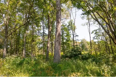 0 County Rd 269, Glouster, OH 43730 - Photo 5