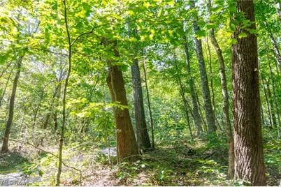 County Rd 269, Glouster, OH 43730 - Photo 7