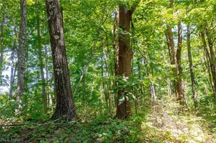 County Rd 269, Glouster, OH 43730 - Photo 1