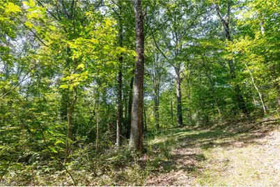 0 County Rd 269, Glouster, OH 43730 - Photo 9