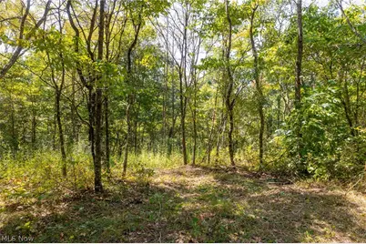 0 County Rd 269, Glouster, OH 43730 - Photo 5