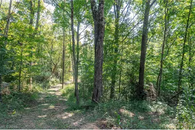 0 County Rd 269, Glouster, OH 43730 - Photo 11