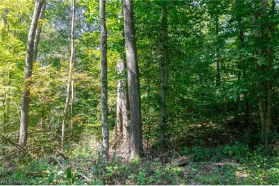 0 County Rd 269, Glouster, OH 43730 - Photo 13