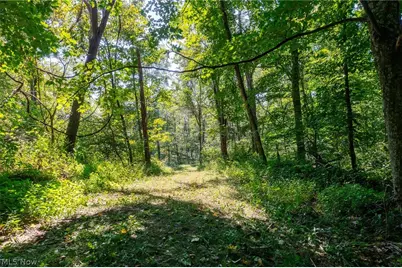 0 County Rd 269, Glouster, OH 43730 - Photo 29