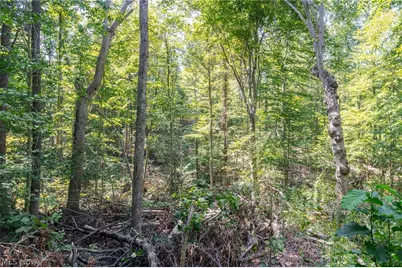 0 County Rd 269, Glouster, OH 43730 - Photo 11