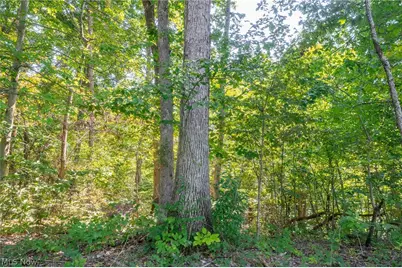 0 County Rd 269, Glouster, OH 43730 - Photo 7