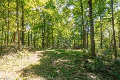 0 4 County Rd 269, Glouster, OH 43730 - Photo 15
