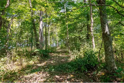 0 County Rd 269, Glouster, OH 43730 - Photo 31