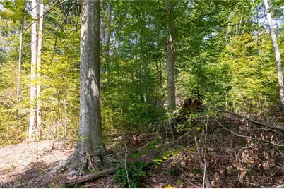 0 County Rd 269, Glouster, OH 43730 - Photo 21