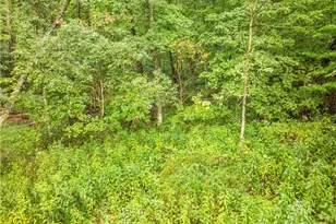 Sr 60, Dresden, OH 43821 - Photo 1