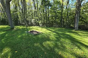 161 Benson Ln, Steubenville, OH 43952 - Photo 23
