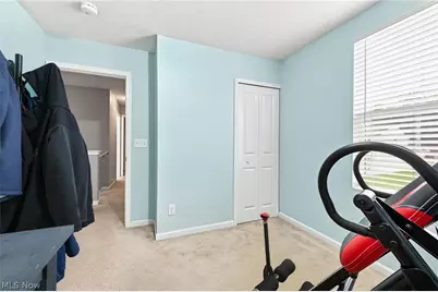 220 Emily Drive, Madison, OH 44057 - Photo 19