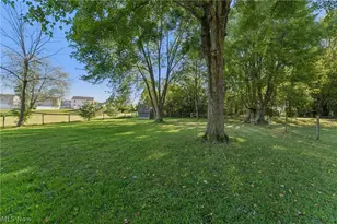 7855 Lake Rd, Chippewa Lake, OH 44215 - Photo 41