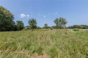 2329 Wilbur Rd, Medina, OH 44256 - Photo 27