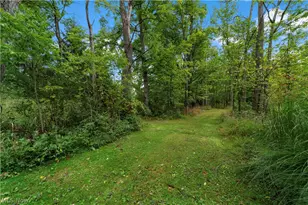 7878 Prouty Rd, Lodi, OH 44254 - Photo 43
