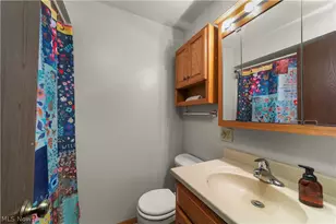 7878 Prouty Rd, Lodi, OH 44254 - Photo 23