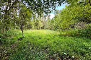 43334 Township Road 971, Lewisville, OH 43793 - Photo 29