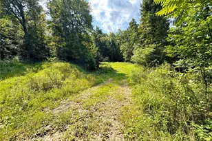 43334 Township Road 971, Lewisville, OH 43793 - Photo 27