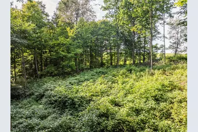 Private Road 3000, Millersburg, OH 44654 - Photo 5