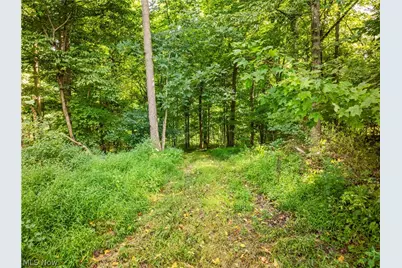 Private Road 3000, Millersburg, OH 44654 - Photo 19