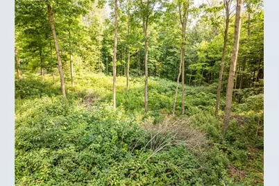 Private Road 3000, Millersburg, OH 44654 - Photo 3